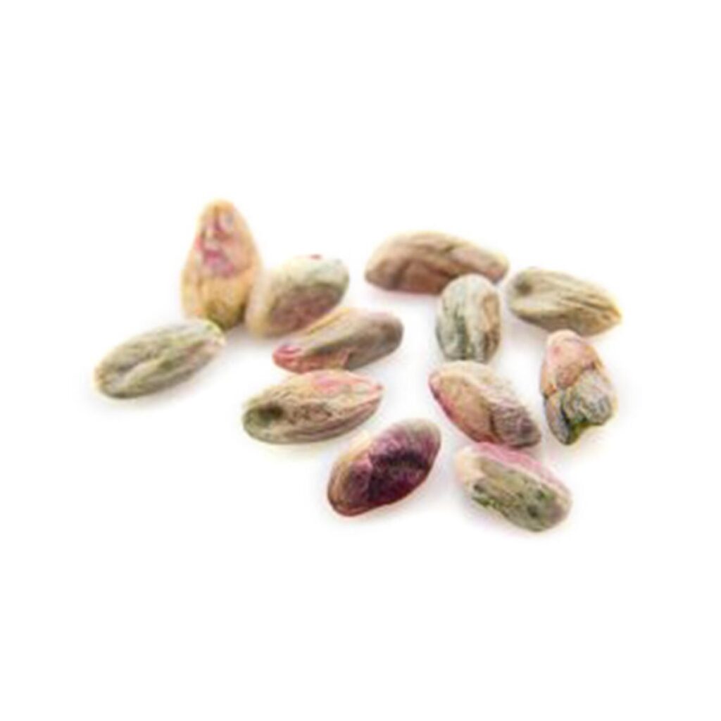 Early-picked-Kernel-(Kaa)3