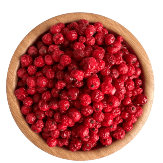 Freeze Dried Red Currants